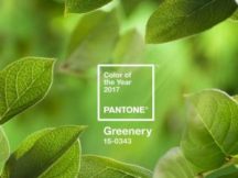 СОКОВИТО: Pantone оголосили модний колір 2017 року