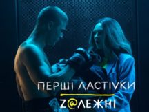 Перші ластівки