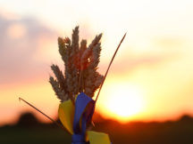 Запущено сервіс допомоги українцям, які втратили домівки після бомбардувань