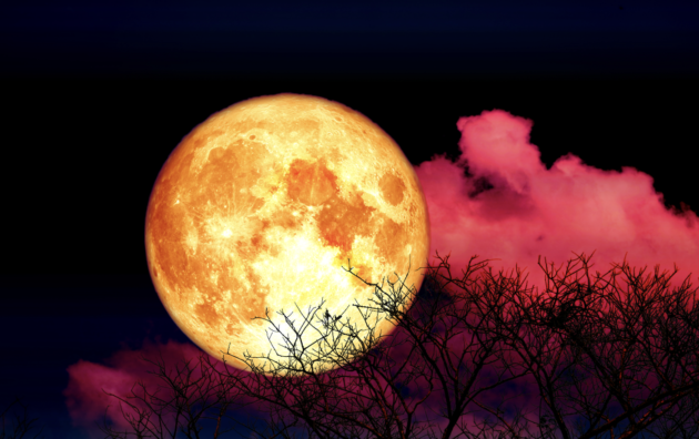 Полнолуние 16 февраля 2022