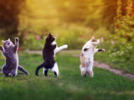 Що можна і не можна робити 24 травня