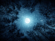 Лунный календарь на сентябрь 2022: благоприятные дни для дел