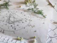 Гороскоп на тиждень з 15 по 21 серпня 2022