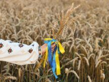 З Днем незалежності України 2025: привітання у прозі
