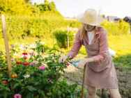 Місячний посівний календар на квітень 2025 року: що та коли сіяти