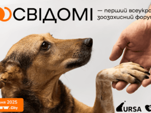 Афіша