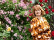 Сім’я по неділях