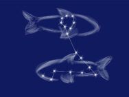 Гороскоп для риб на 2026 рік: прогноз астролога