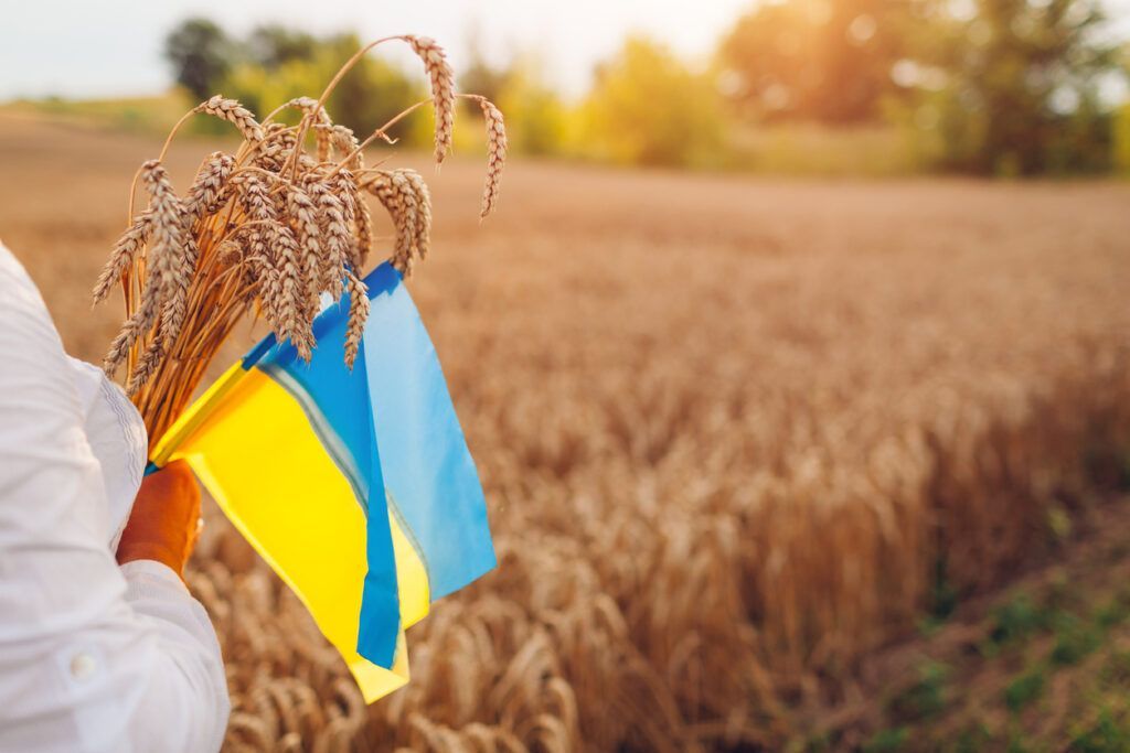 З Днем Незалежності України 2026: привітання у картинках, віршах та своїми словами