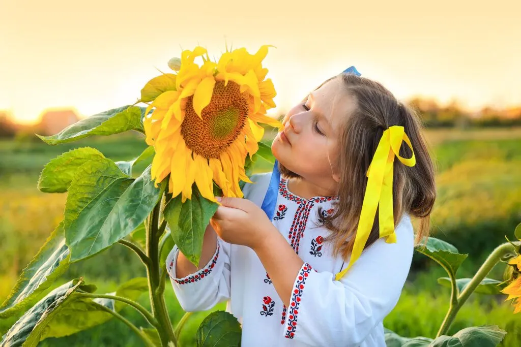 Чи буде вихідний на День Незалежності України у 2026 році 