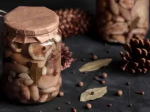 Мариновані маслята: рецепт приготування та інгредієнти