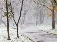 Коли буде перший сніг в Україні у 2026 році: прогноз