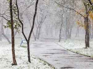 Коли буде перший сніг в Україні у 2026 році: прогноз